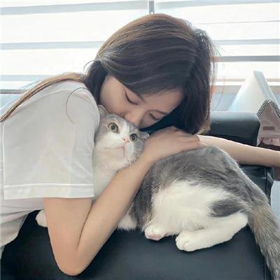 爱情上上签